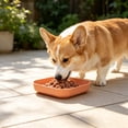 thumbnail image 5 of NWQKYZGH 1PCS Square Pet Food Plates Shallow Wide Design Easy To Clean Snack Feeding Bowl for Dry Food Wet Food Treats for Small Mediums and s -5.71x5.71in, 5 of 6
