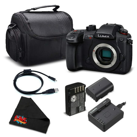 Panasonic Lumix DC-GH5S Mirrorless Micro Four Thirds Digital Camera DC-GH5S - Bronze level Bundle- (Intl