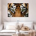 thumbnail image 2 of Elephant Stock Gaze Of A Tiger Wall Art - Horizontal Canvas Wall Art - Living Room Wall Decor - Animal Canvas - Brown And Orange Decor - 45" x 30", 2 of 8