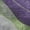 Purple, variant on Addison Rugs Mayfield Premium Machine Washable Transitional Swirls Teal Rectangle Rug, 10' x 14'