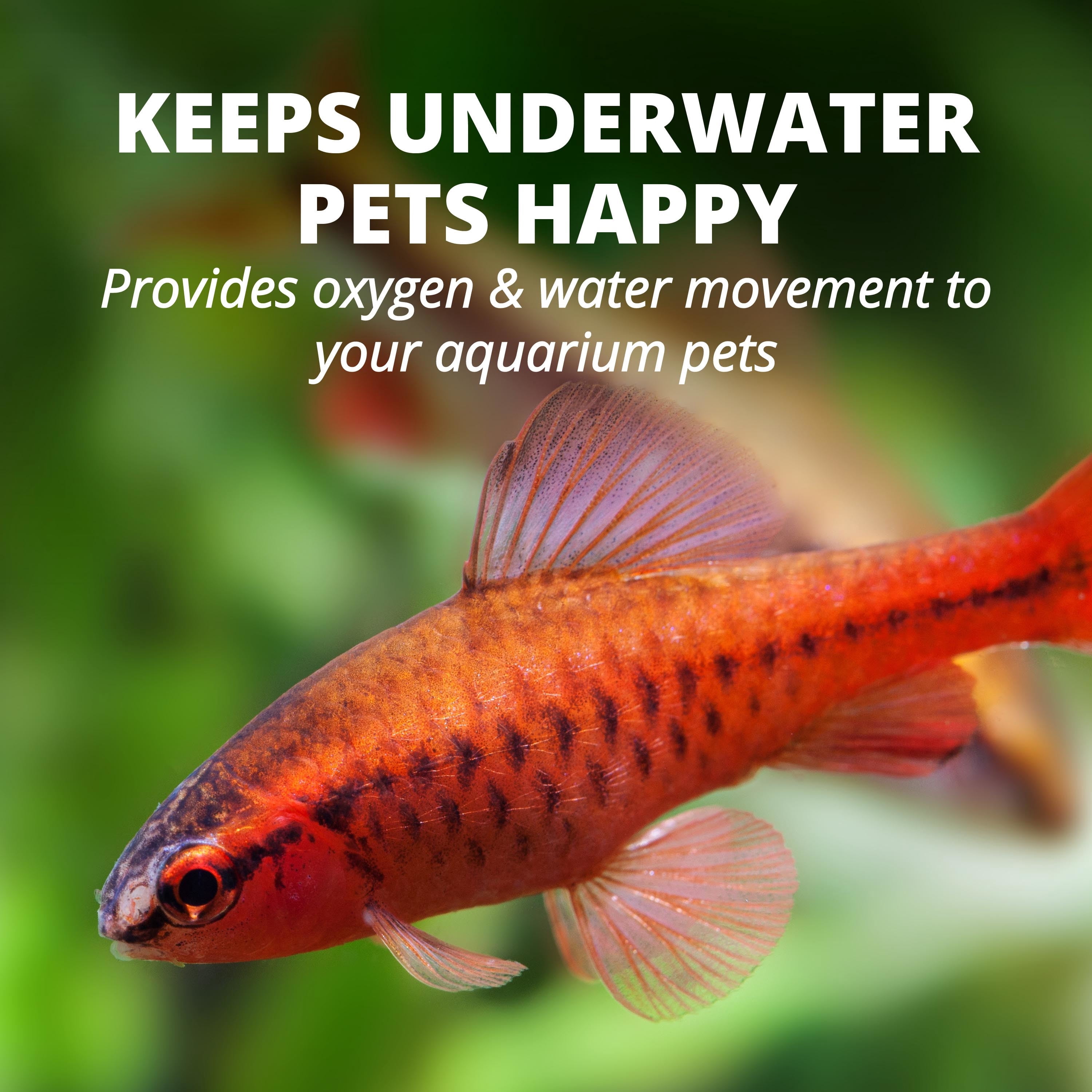 Tetra Whisper Air Pump for Aquariums 20 to 40 Gallons, Quiet Powerful Airflow, UL Listed