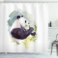 thumbnail image 1 of Ambesonne Panda Shower Curtain, Watercolor Animal Eats Leaves, 69"Wx70"L, Multicolor, 1 of 3