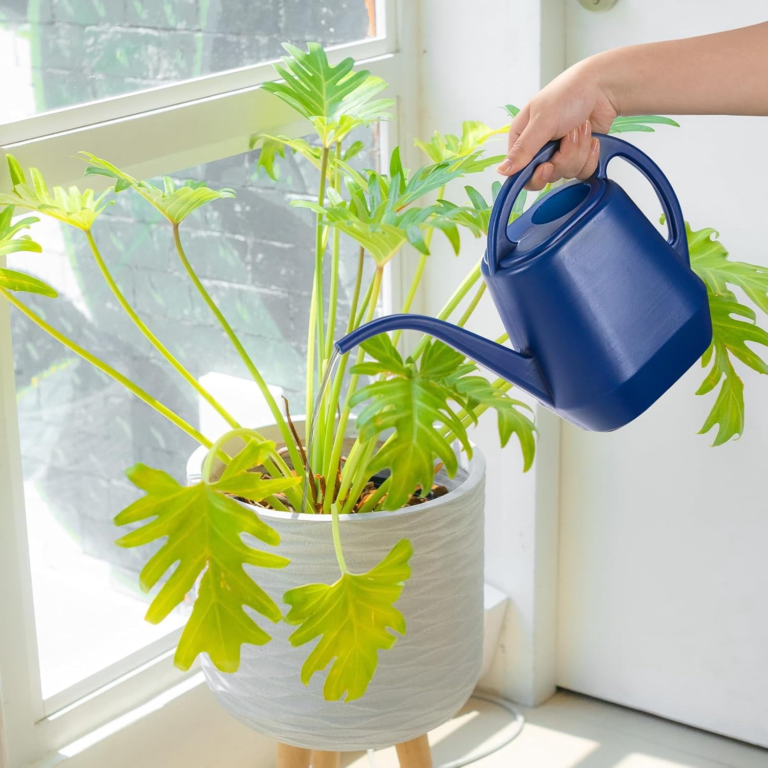 Watering Can, 1/2 Gallon Plastic Cans with Comfortable Handle, Small Garden Long Spout for Indoor Outdoor Plants, Blue