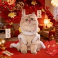 thumbnail image 5 of Festive Dance Theme Cat Outfits for Holiday Celebrations with Stylish Comfortable Design Creating Joyful Atmosphere, 5 of 7