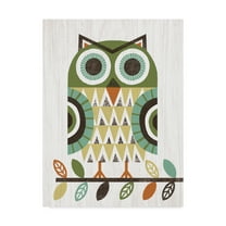 Trademark Fine Art 'Folk Lodge Owl Earth' Canvas Art by Michael Mullan