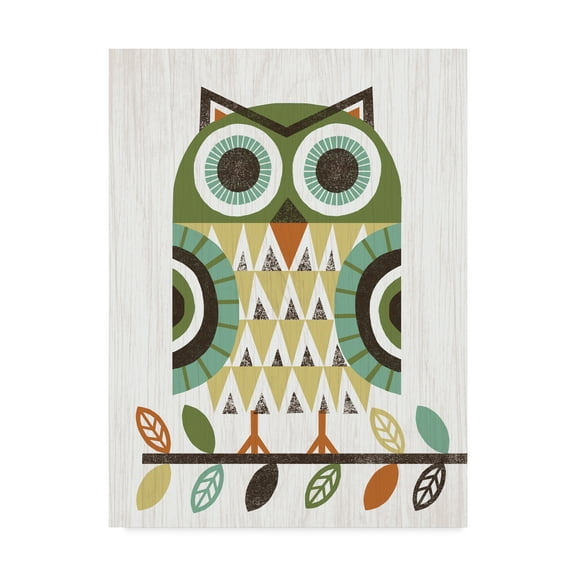Trademark Fine Art 'Folk Lodge Owl Earth' Canvas Art by Michael Mullan