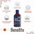 thumbnail image 5 of BEARDHOOD Red Onion Hair Oil & Shampoo Combo with Redensyl & Caffeine For Hairfall Control (Oil + Shampoo), 5 of 5