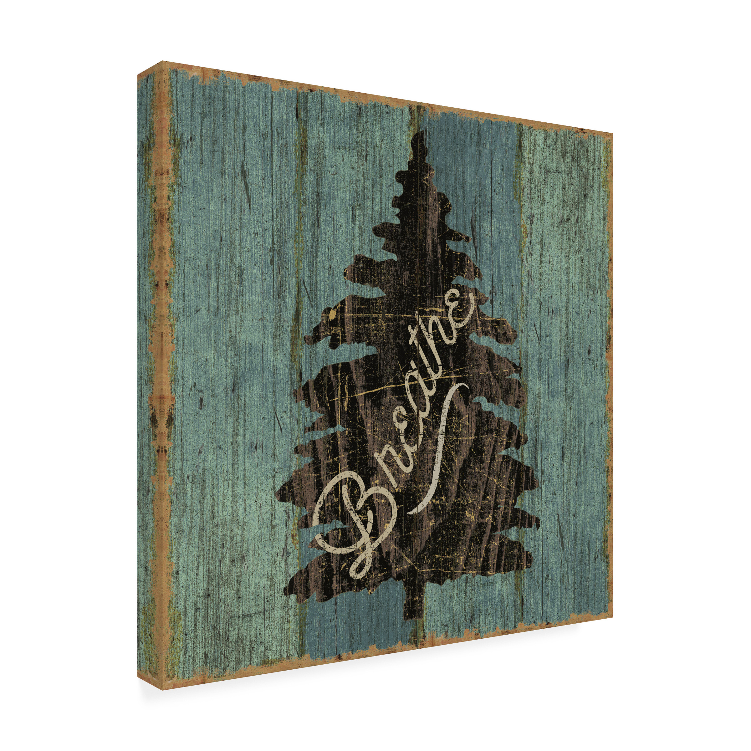 Trademark Fine Art 'Lake Lodge X' Canvas Art by Sue Schlabach