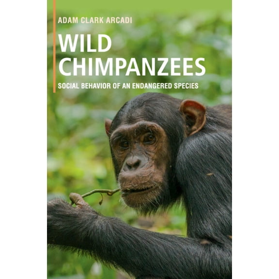 Wild Chimpanzees: Social Behavior of an Endangered Species, (Paperback)