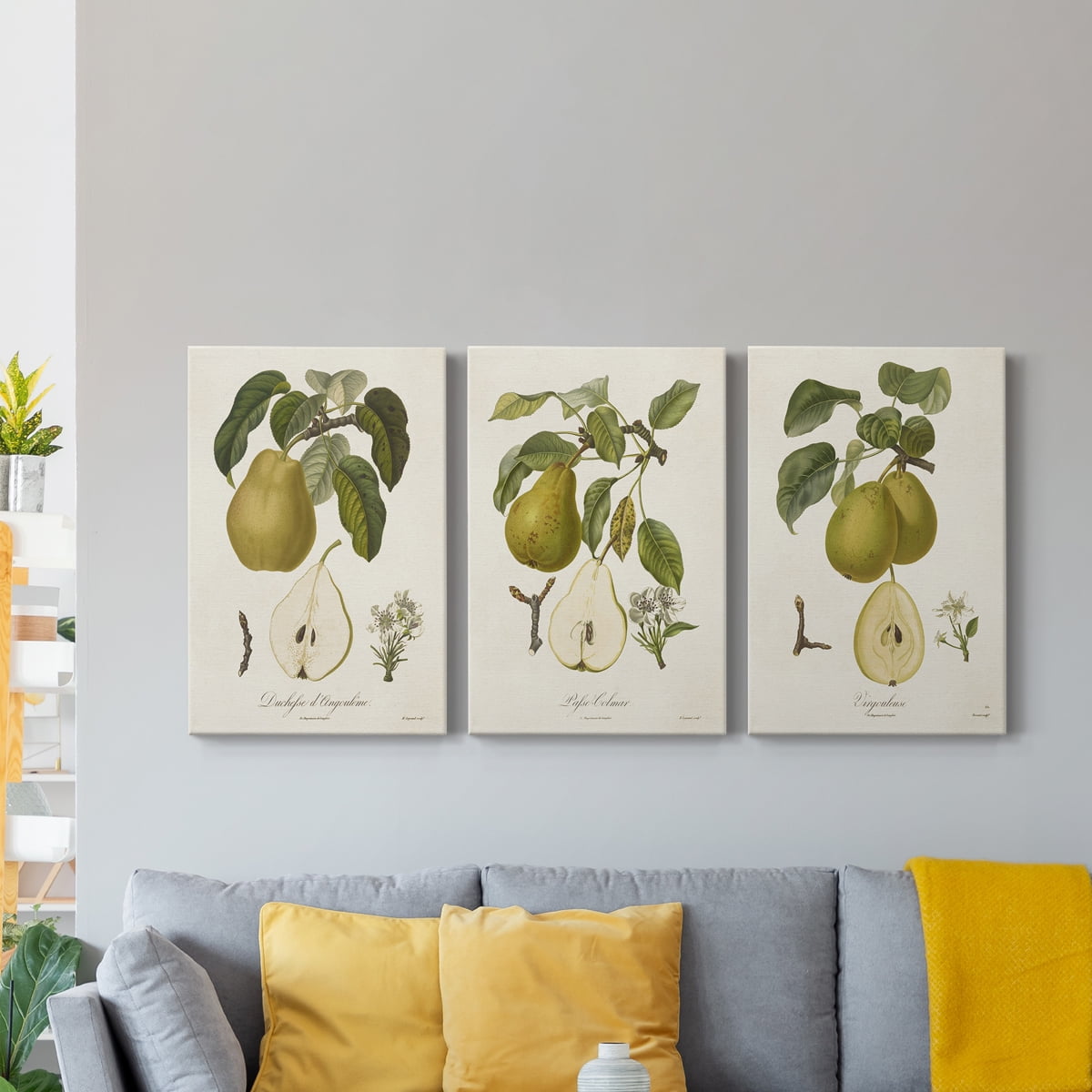 Vintage Pears I Premium Gallery Wrapped Canvas - Ready to Hang - 18 x 27 Each