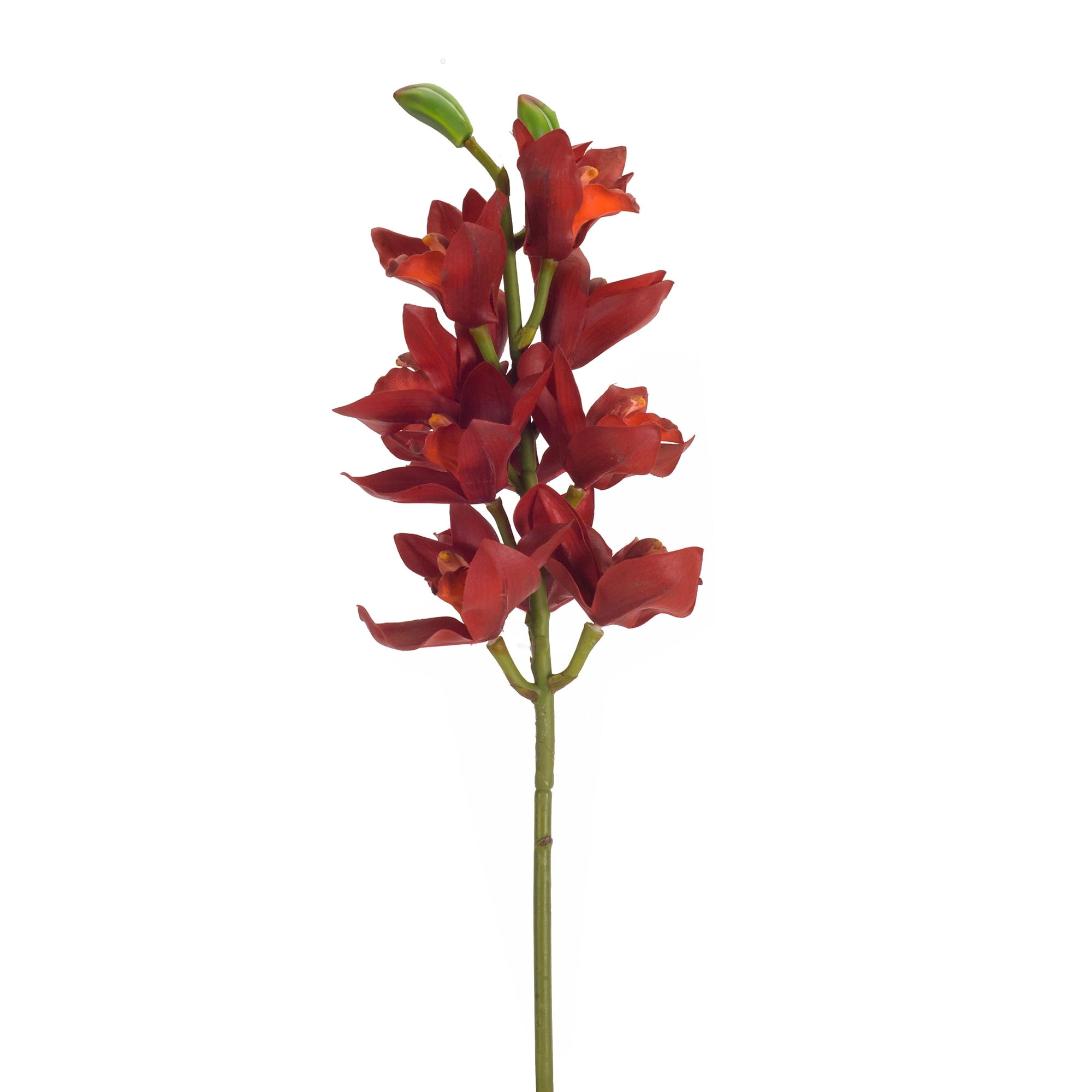 Set 12 Faux Orchid Stem 30.5”