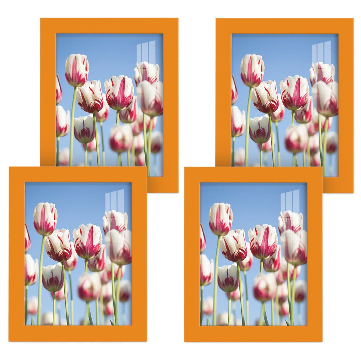 Modern 6 in. x 8 in. Orange Picture Frame (Set of 4)