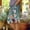 Army Green, variant on Womens Summer Capri Pants with Pocket Buttons Trim Straight Leg Pants Sdie Split Crop Pants Vacation Trousers