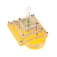 thumbnail image 1 of Caja De Formicarium De La Granja De La Alimentación De La Del Nido De La De La Del Diseño De La Pirámide Sunnimix Nido de la vivienda ANT de insectos, 1 of 8
