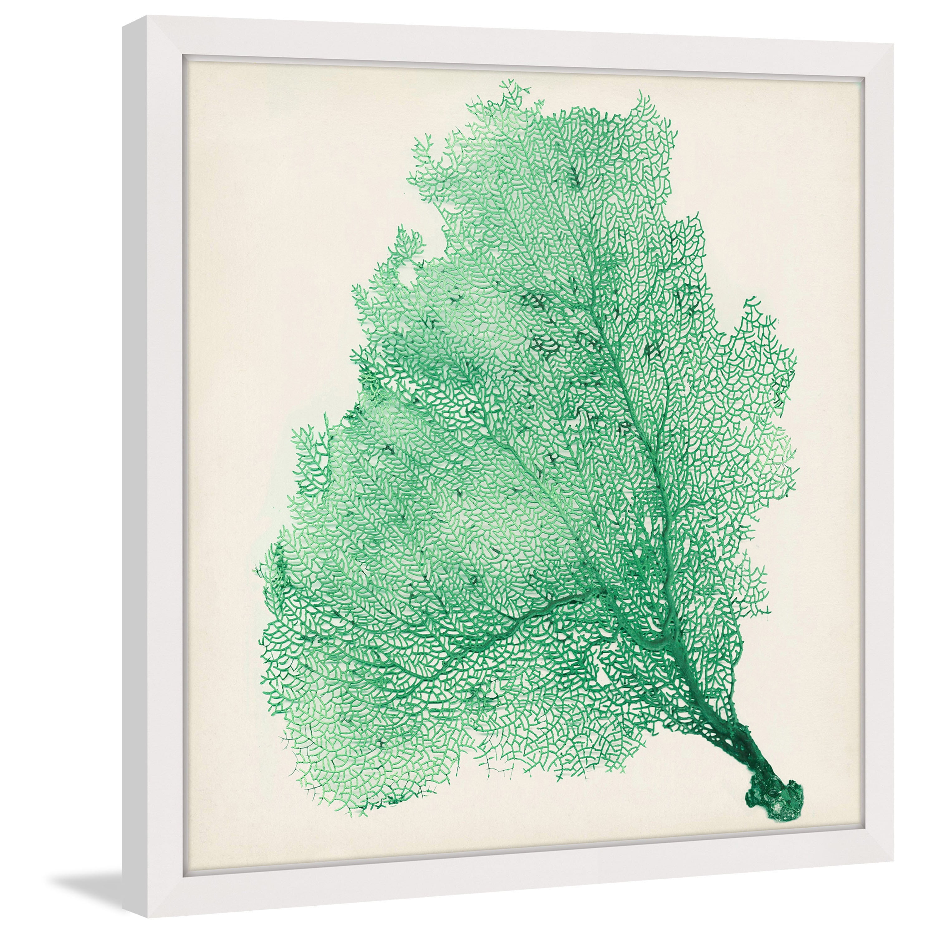 Marmont Hill "Sea Fan VII" Framed Painting Print