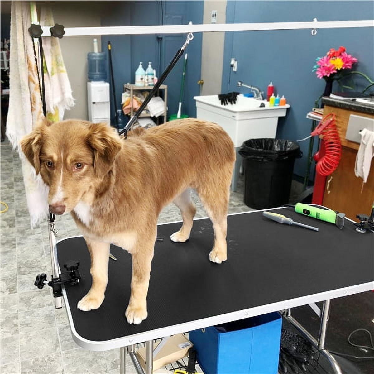 Alden Design Adjustable Pet Grooming Table Stainless Steel Frame Foldable Pet Grooming Desk with Basket Noose Arm