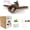 Brown Large, variant on Upgraded Interactive Chirping Bird Cat Toys with Flapping Wings,No Flying Birds Cats Toy, Flying Simulation Electric Sparrow Shaking Hunting Pet Toy for Indoor-Larger