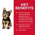 thumbnail image 4 of Hill's Science Diet Puppy Small Paws Canned Dog Food, Savory Stew Chicken & Vegetables, 3.5 oz, 12 Pack wet dog food, 4 of 7