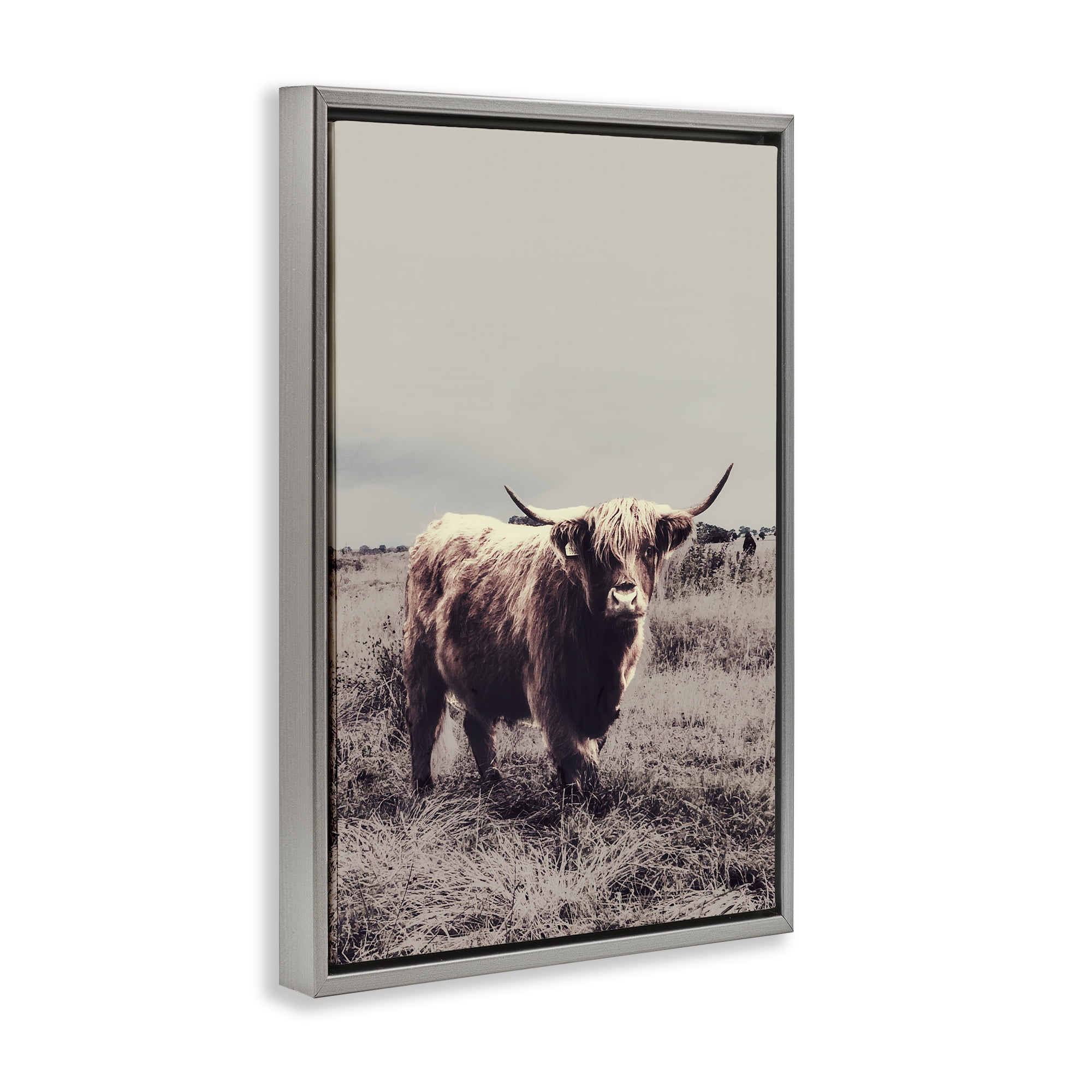 Stupell Industries Horned Cattle in Pasture Gray Framed Floater Canvas Wall Art, design by SD Graphics Studio