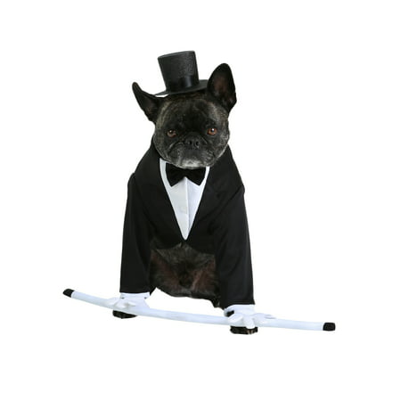 Formal Tuxedo Dog Costume