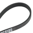 thumbnail image 6 of W10006384 Professional Washing Machine Drive Belt for 1871380 AH2579381, 6 of 11