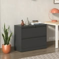 thumbnail image 3 of 2-Drawer Lockable Lateral File Cabinet Black Metal for Legal/Letter/A4/F4 Sizes Home Office, 3 of 19