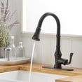 thumbnail image 3 of Plato de grifo Greenspring negro mate para baño o cocina, 3 of 7