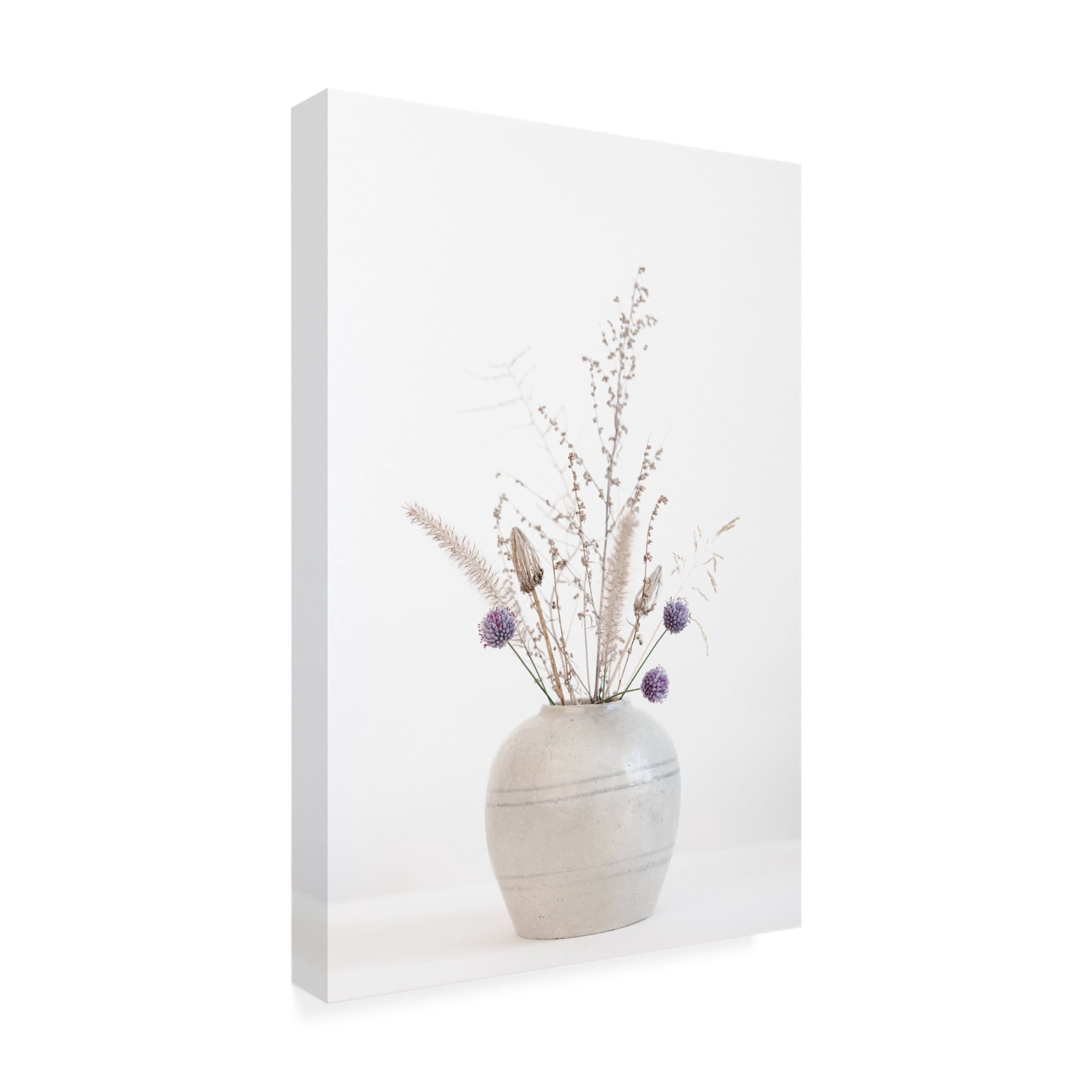 Trademark Fine Art Pictufy Studio Fower Pot Canvas Wall Art
