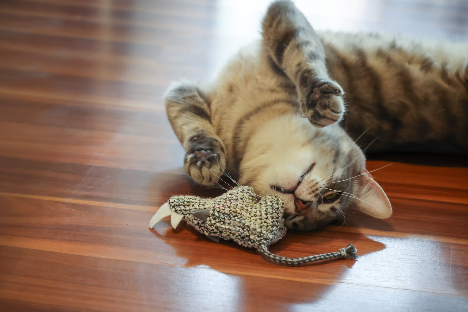 Vibrant Life Knit Animals Cat Toy, 2 Pack