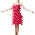 thumbnail image 4 of Abbraccia Women Sequin Tassel Dress Dress for Club Samba Tango Cha Cha Performance L, 4 of 8