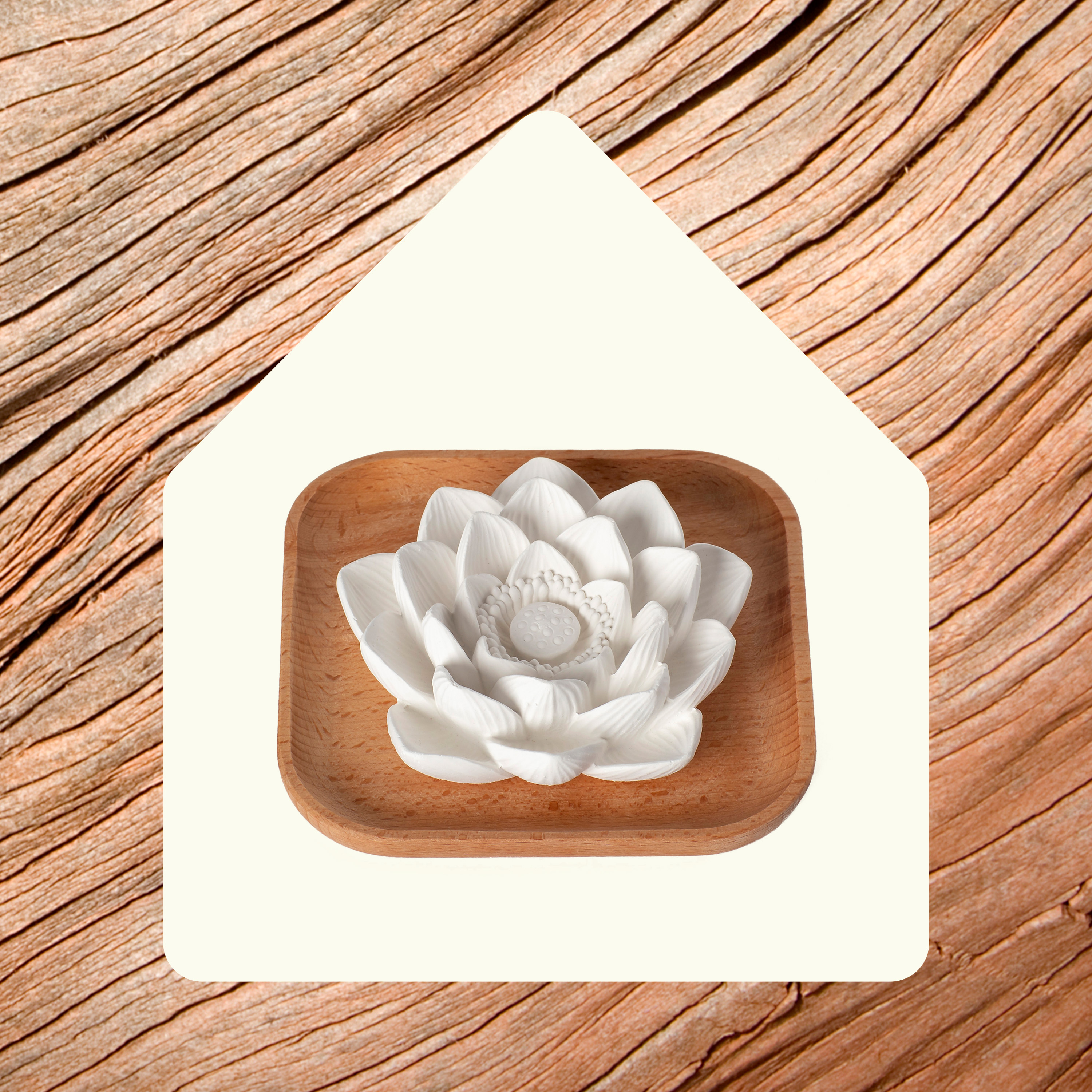 Plant Therapy Passive Lotus Flower Aromatherapy Diffuser photo 3
