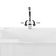 Miumaeov Utility Sink with Faucet, Polypropylene