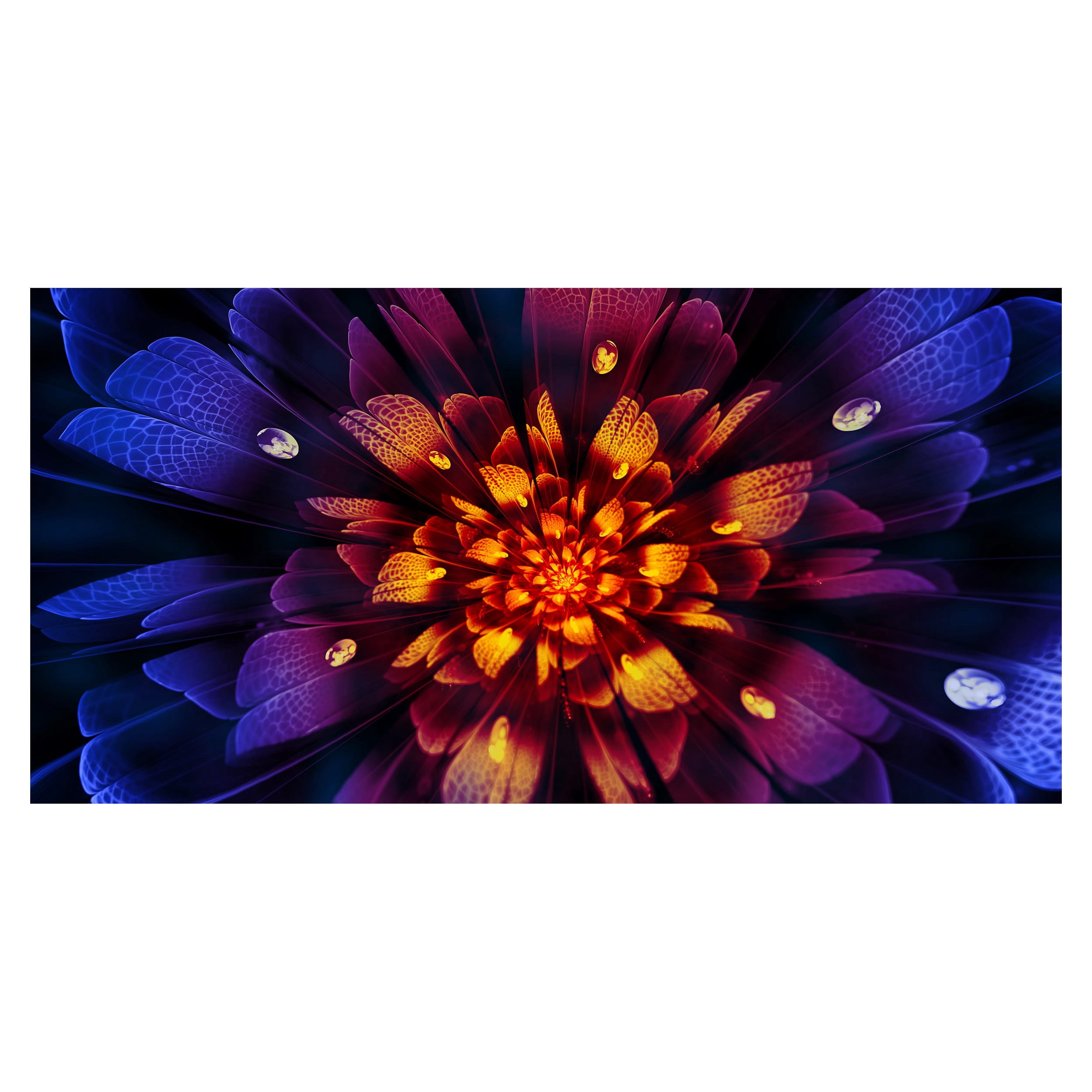 Design Art Glow from Wit Floral Canvas Art, 32" x 16"