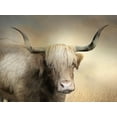 thumbnail image 2 of Deiter, Lori 14x12 Black Ornate Wood Framed with Double Matting Museum Art Print Titled - Highland Cow in Golden Grass, 2 of 4