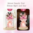 thumbnail image 3 of Preserved Flowers Gifts for Her, Preserved Rose Bouquet in Glass Dome, Flowers Fresh Bouquet Gifts for Christmas Valentine's Day Anniversary Birthday for Mom Girlfriend Wife Friends, Pink Real Rose, 3 of 5