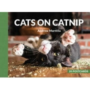 Cats on Catnip : 20 Postcards (Postcard book or pack)