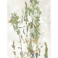 thumbnail image 3 of Robinson, Carol 19x24 Black Modern Framed Museum Art Print Titled - Untamed Garden I, 3 of 5