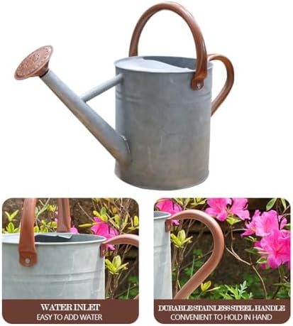 Metal Watering Can, One Gallon Watering Cans Stainless Steel for Outdoor Indoor Garden Plants Watering (Zinc 1 Gallon)