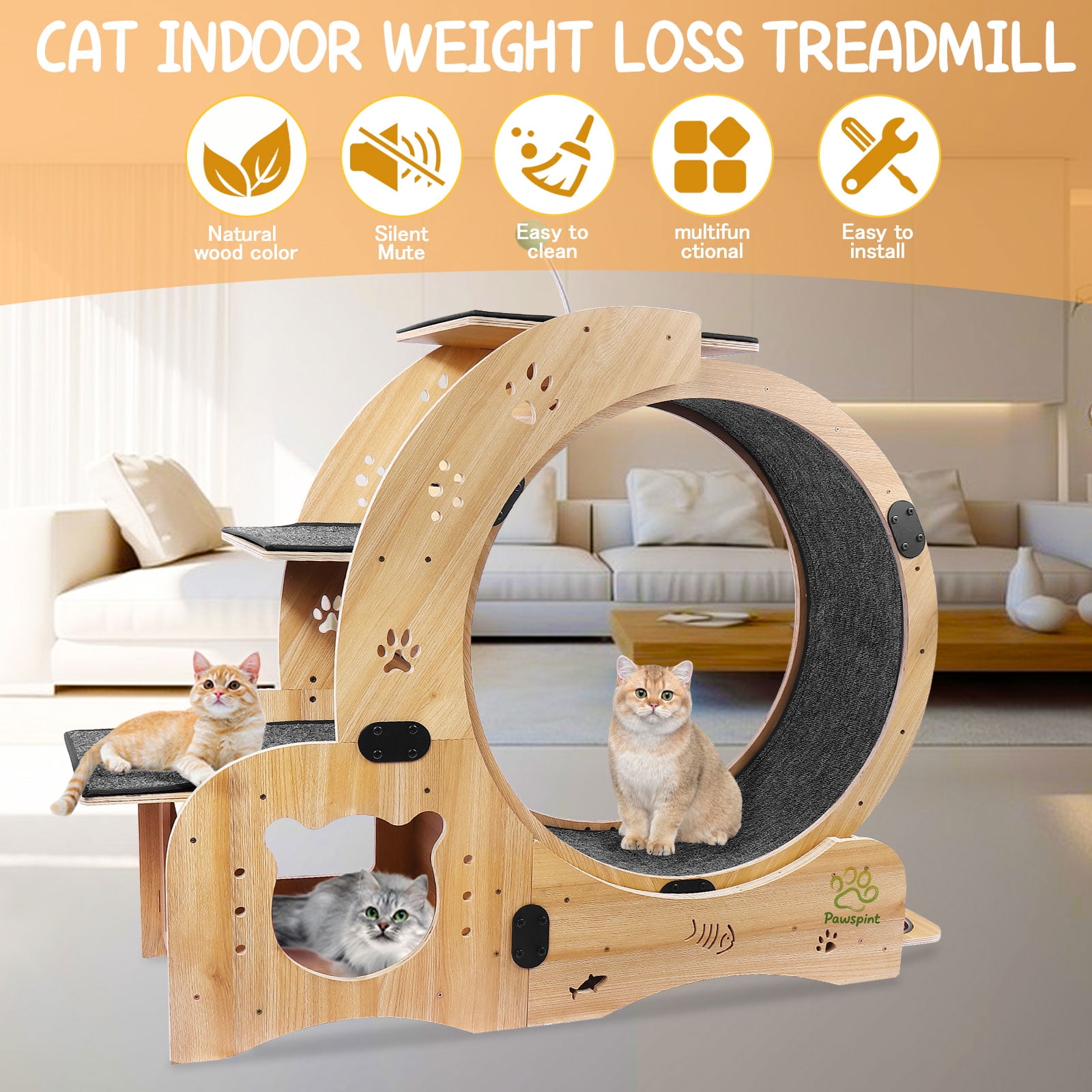 Pawspint 6-in-1 Cat Exercise Wheel, Upgraded Indoor Cat Running Wheel with Silent Track, Large Cat Treadmill for Exercise & Play, Cat Walking Wheel, Cat Furniture & Cat Toy