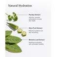 thumbnail image 3 of BLANC DUBU Groom Maison De Body Cleanser 500ml, 3 of 5
