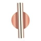 thumbnail image 1 of Maceta de pared de metal, macetas colgantes de estilo rústico para suculentas o Oro rosa, 1 of 6
