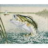 Largemouth Bass Counted Cross Stitch Kit