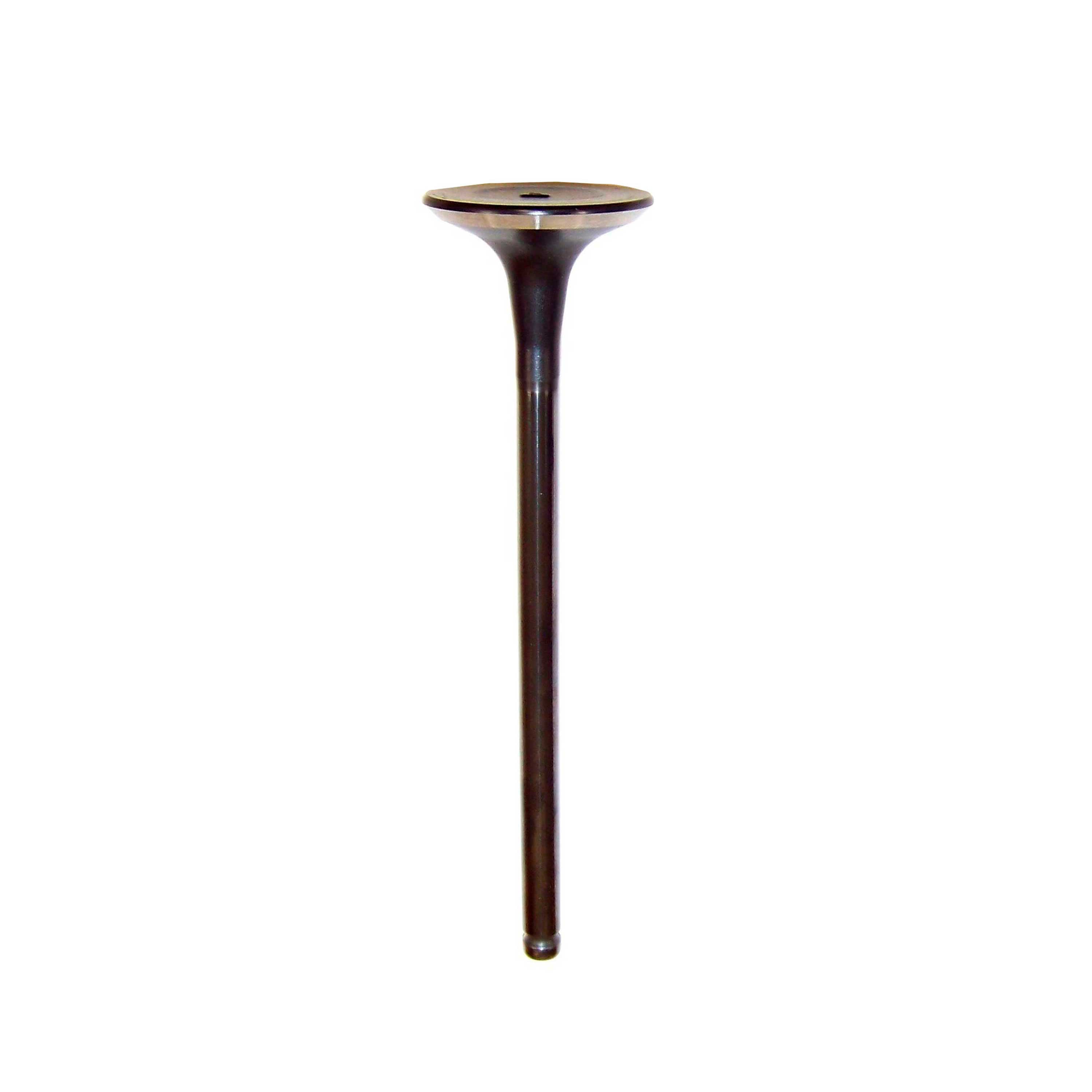 DNJ EV168 Engine Cylinder Head Valve Train Exhaust Valve
