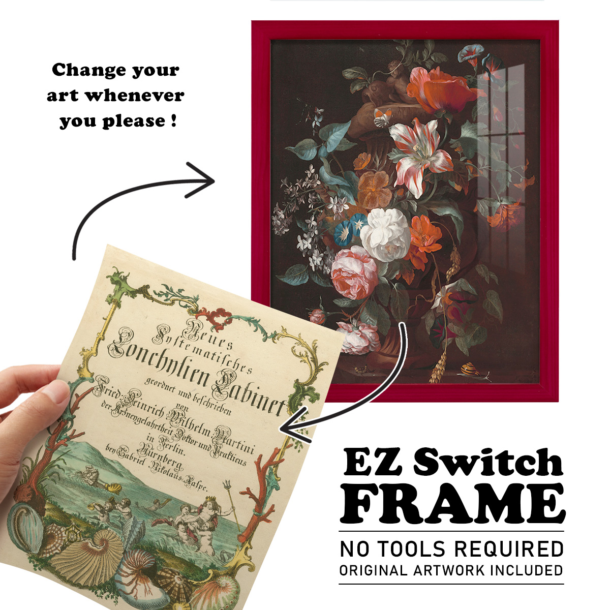 Cabinet of Conchology -Framed Print w/glass-Cherry Red