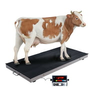 PEC Digital Pet Scales Small Livestock Scale,700lb Animal Vet Scales Digital Weighing Equipment for Dog Goat Calf Pig Sheep 44"x22"