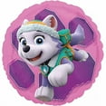 thumbnail image 4 of Skye and Everest 4th Birthday Party Supplies Girl Paw Pups on Patrol Balloon Bouquet Decorations 5ct, 4 of 6