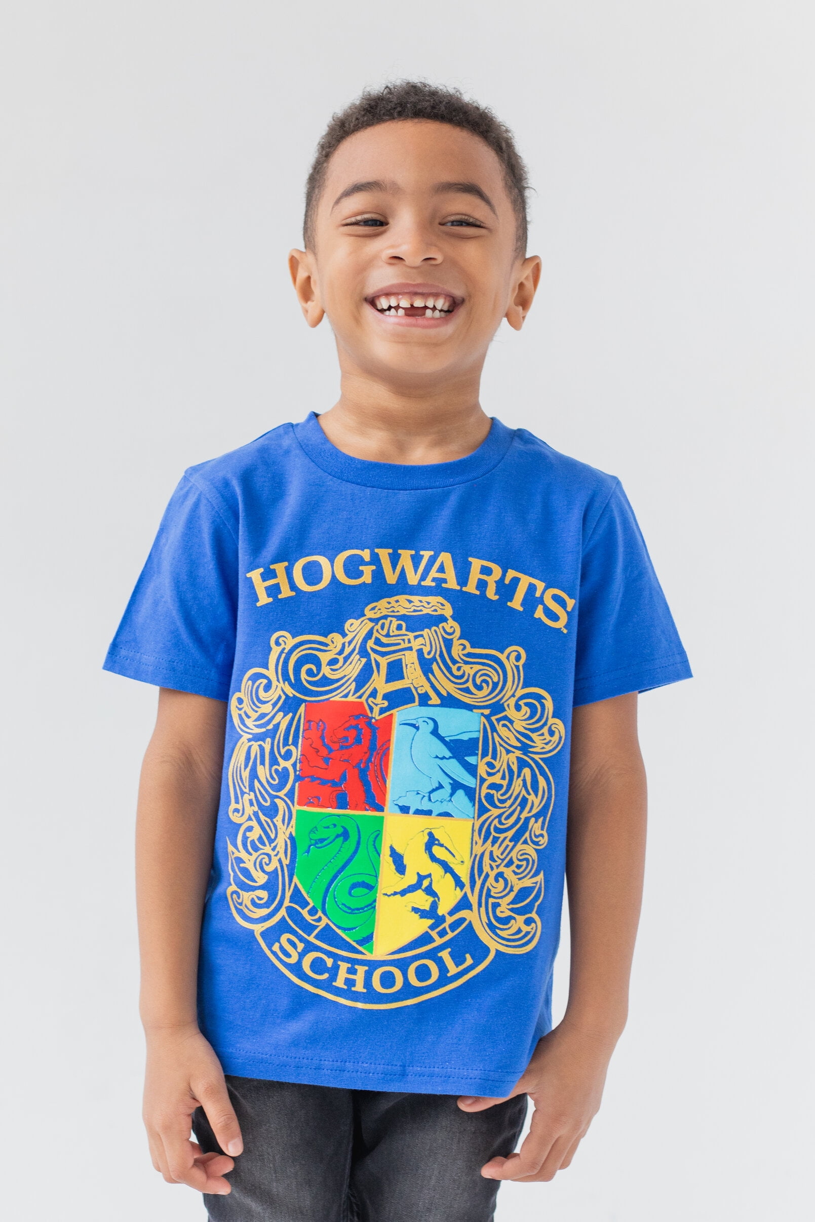 Harry Potter Toddler Boys 3 Pack Pullover T-Shirts Toddler to Big Kid