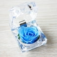thumbnail image 5 of ELAYARD Preserved Roses Present in Glass Dome Sky-Blue 1Pcs for Birthday Party Elegant Design, 5 of 8