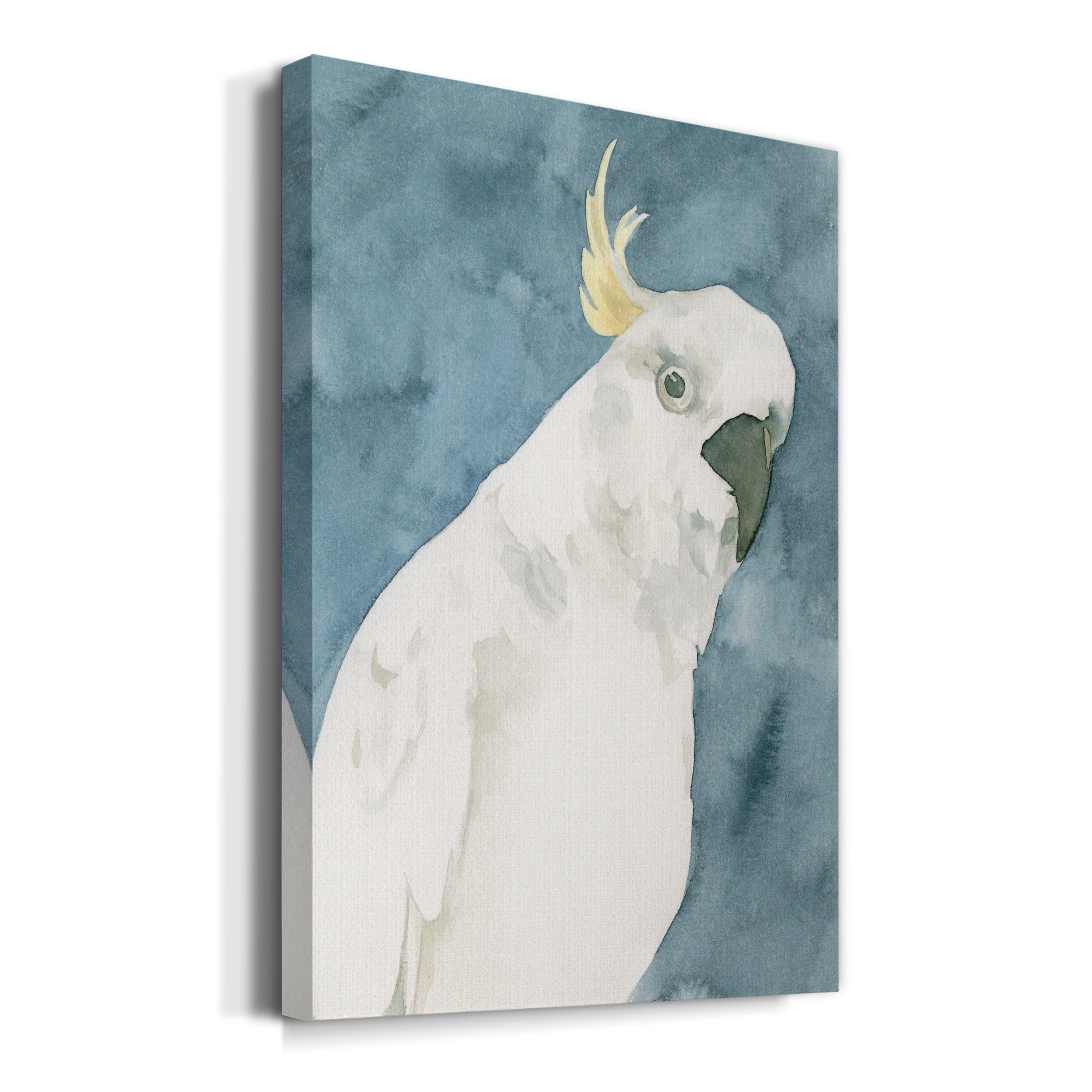 Cockatoo Portrait I Premium Gallery Wrapped Canvas - Ready to Hang
