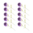 thumbnail image 1 of Bearachild 10 Uds. De flores artificiales de clavel, ramo de regalo de flores falsas de una sola cabeza, accesorios de fotografía para Decoración Púrpura, 1 of 6